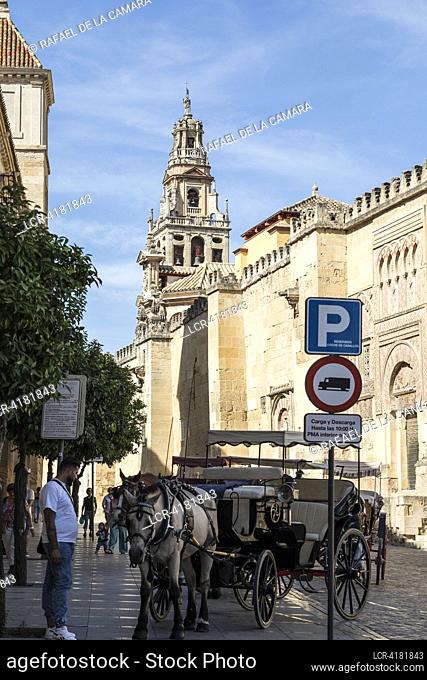 """ VIEW OF COORSE CARRIAGE AND MEZQUITA OF CORDOBA"" CORDOBA CITY SOME PLACES AND PEOPLE SPAIN