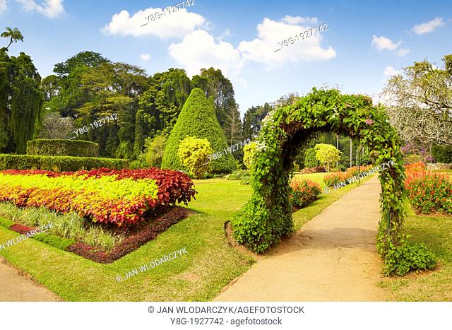 Sri Lanka - Kandy, Peradeniya Botanic Garden, central region of Sri Lanka Island