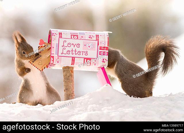 red squirrels with a letter and heart letter box