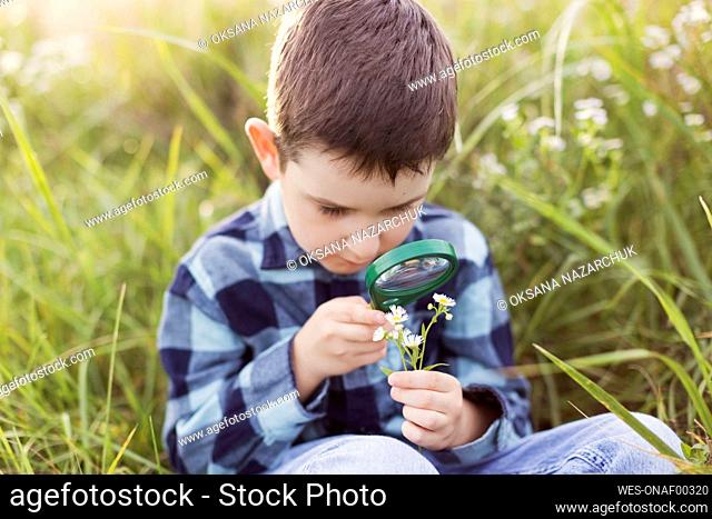 Boy with magnifying glass examining flowers