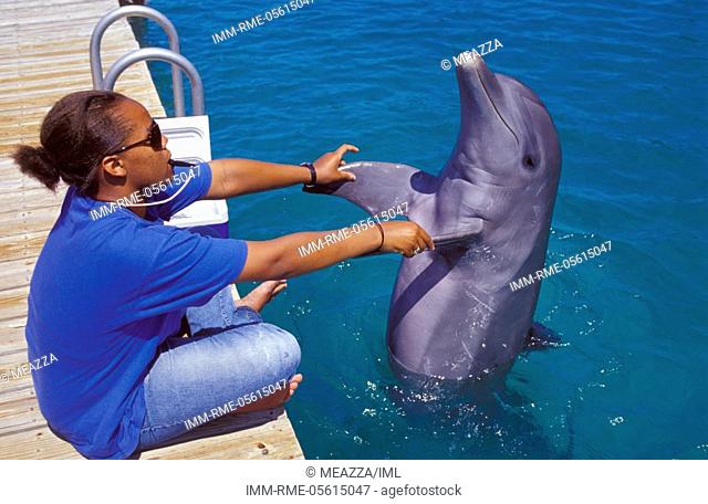 Gran Bahamas Island, dolphinarium, woman training dolphin  Bahamas, Caribbean, America