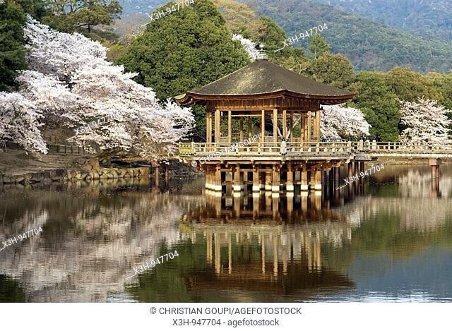 pavilon Ukimido on Sagi-ike lake, Etang de Sagi-ike et pavillon Ukimido, Cerisiers en fleurs, Nara, Japon