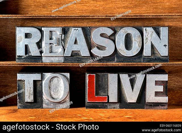 reason to live phrase made from metallic letterpress type on wooden tray