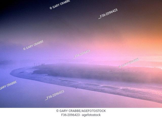 Morning mist over the tidal flats between Arcata and Manila, Humboldt County, CALIFORNIA