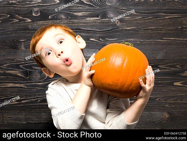 a little boy with red hair will hold a pumpkin in his hands and dabbles in portraying emotions of surprise on his face, preparing to celebrate Halloween and...