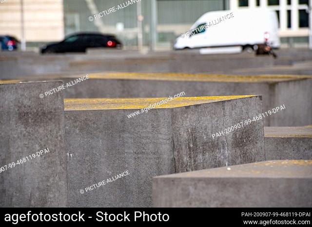 27 August 2020, Berlin: Numerous stelae of the Holocaust memorial are infested with moss and lichen. Now an elastic reinforcement and graffiti protection has...