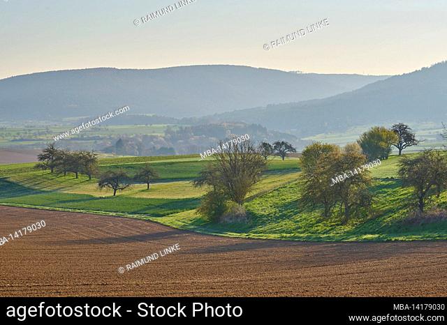 Field landscape, fruit trees, field trees, spring, Mönchberg, Spessart, Bavaria, Germany