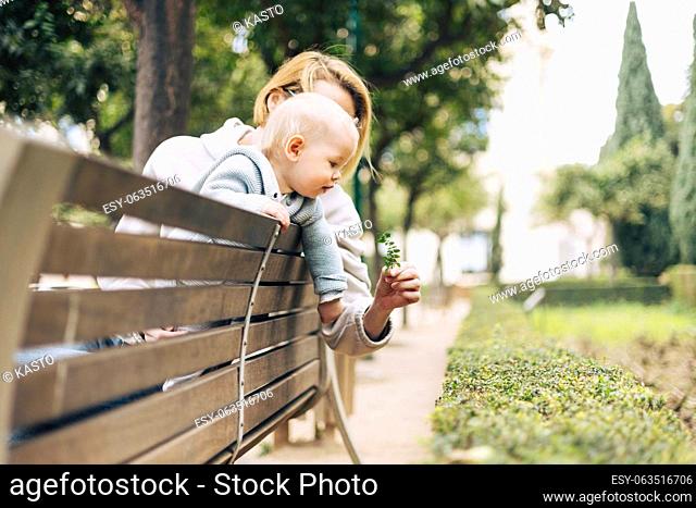 Young mother with her cute infant baby boy child leaning over back of wooden bench towards bushes in city park, holding and observing green plant with young...