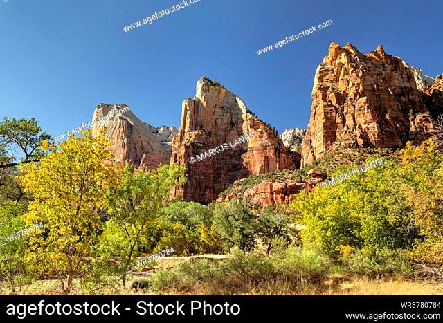 Court of Patriarchs, Zion National Park, Colorado Plateau, Utah, United States of America, North America