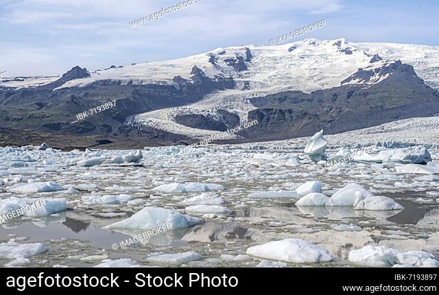 Fjallsárlón ice lagoon, ice floes in front of Vatnajökull glacier, Hornafjörður, Iceland, Europe