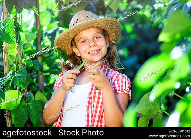 Smiling girl picking beans in garden