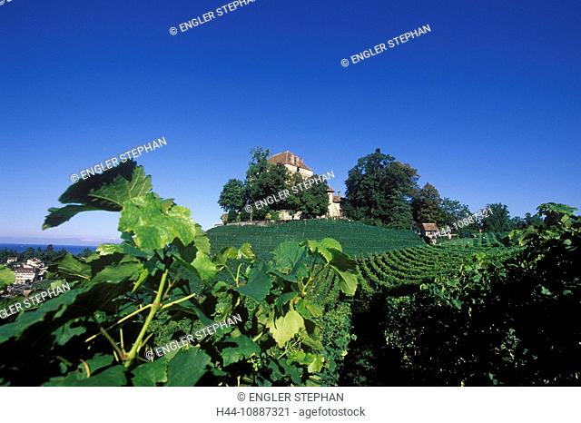 Saillon, wine, vinyard, Montreux, village, Switzerland, Europe, Vaud, Lavaux, castle, Clarens, Châtelard