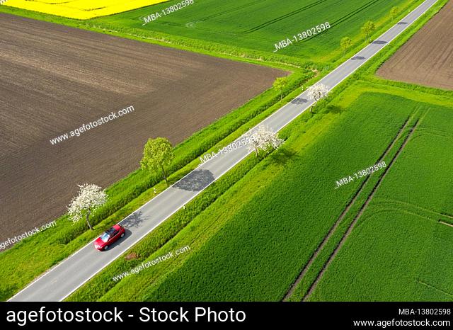 Germany, Lower Saxony, Apelnstedt, landscape, aerial view