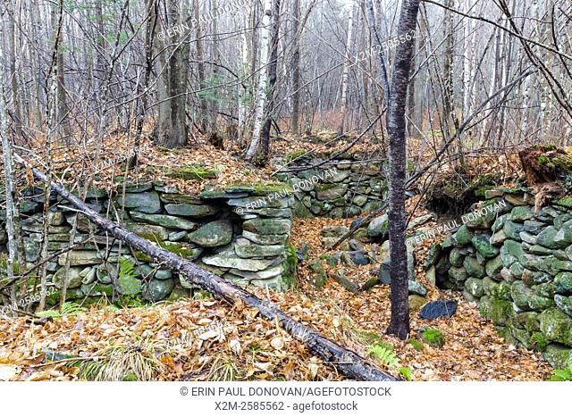 An abandoned cellar hole along the old North and South Road (now Long Pond Road) Road in Benton, New Hampshire USA. Based on an 1860 historical map of Grafton...
