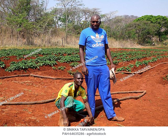 Farmer Baldwin Mazango (R) stands in front of one of his fields in Mazowe, Zimbabwe, 07 October 2015. Manzago is of many black farmers to profit from the...