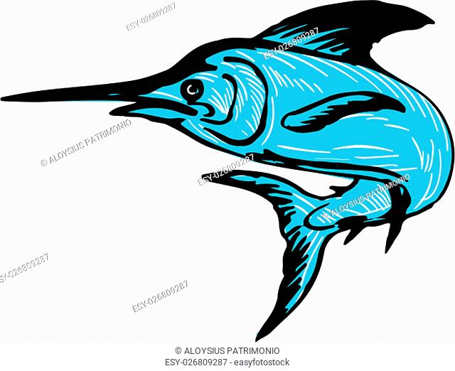 Drawing sketch style illustration of a blue marlin fish jumping viewed from side set on isolated white background