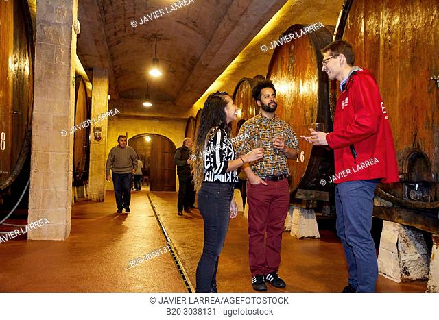 Tourists on a guided tour, Txotx, Cider barrels, Sidreria Petritegi, Astigarraga, Gipuzkoa, Basque Country, Spain, Europe
