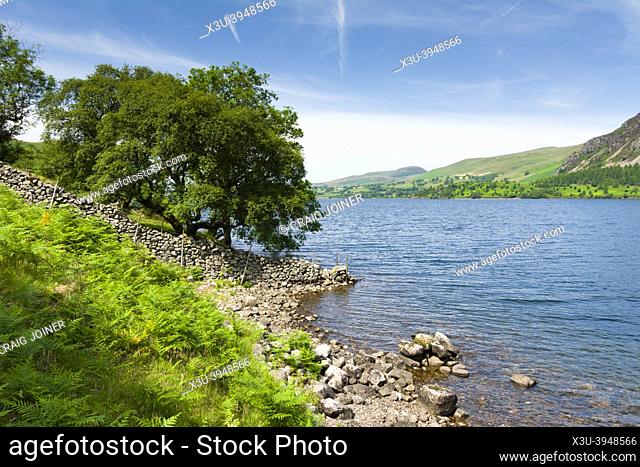 The southern shore of Ennerdale Water in the English Lake District National Park, Cumbria, England