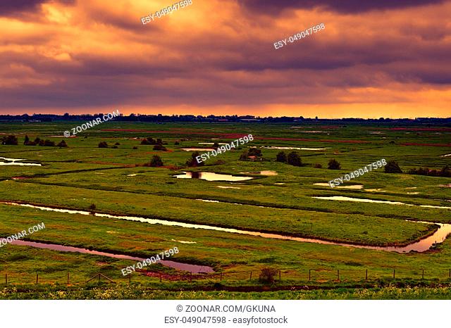 Agriculture on Land Reclaimed from the See in Netherlands at sunset. Tidal marsh and meadows formed by dams in Holland