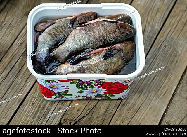 On the table in a plastic container cleaned and washed river fish, prepared for the preparation of fish soup
