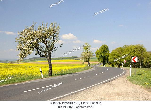 Country road in Thuringia, Germany, Europe