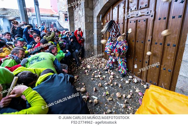 Villagers throwing turnips at Jarramplas, Carnival, Piornal, Jerte Valley, Cáceres province, Extremadura, Spain, Europe
