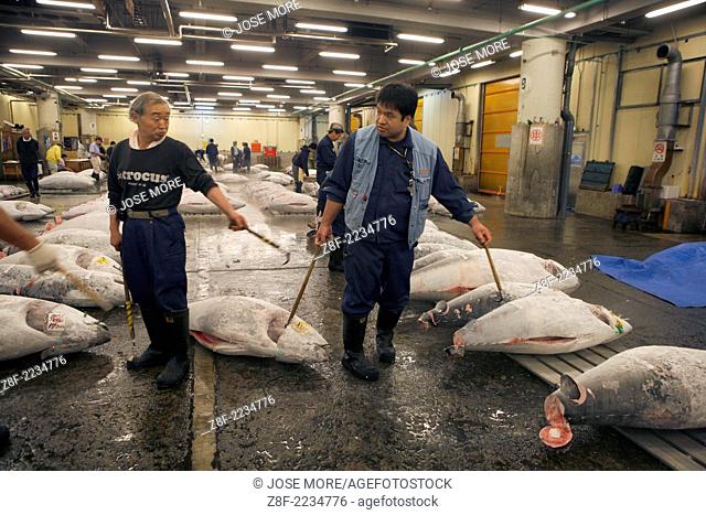 Tokyo: The Tokyo Metropolitan Central Wholesale Market, commonly known as the Tsukiji Market, is the largest wholesale fish and seafood market in the world