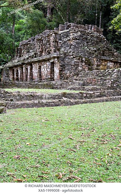 Mexico, Chiapas, Yaxchilan Archaeological Zone, Structure 19