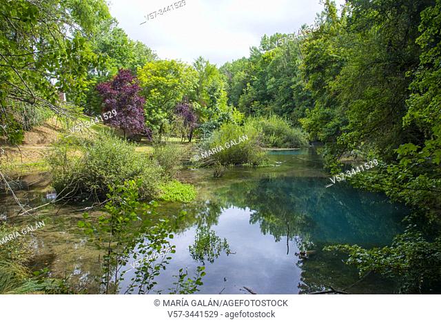 Spring of river Ebro. Fontibre, Cantabria, Spain