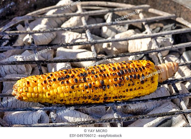 Corn on the cob cooked on hot coals