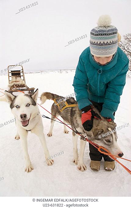 Young girl with sled dogs. Storlien, Jämtland, Sweden