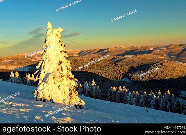 belchen at sunset in winter, black forest, baden-wuerttemberg, germany