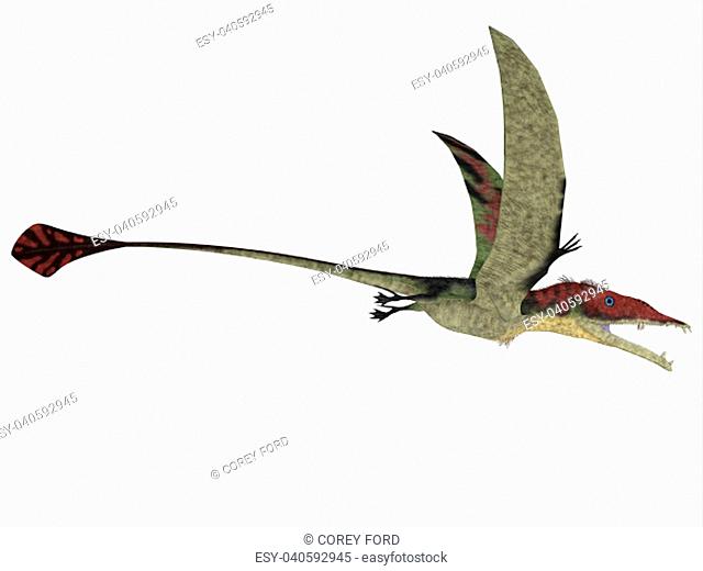 Eudimorphodon was a predatory flying reptile that lived in the Triassic Period and found in Italy