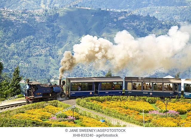 Steam train known as the 'Toy Train' of the Darjeeling Himalayan Railway listed as a World Heritage Site, Batasia Loop, Darjeeling, West Bengal, India