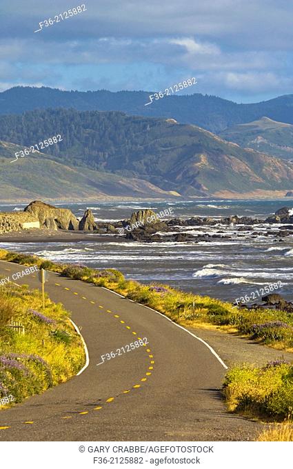 The Mattole Road along the ocean at the Lost Coast near Cape Mendocino, Humboldt County, California