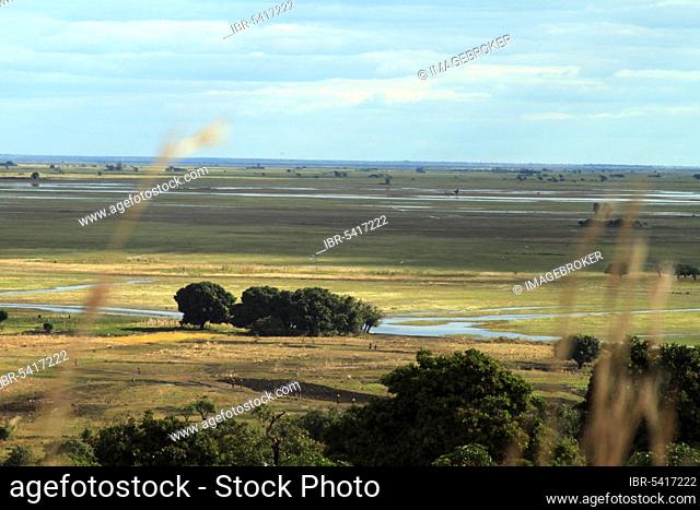 Mongu, flood plain, Barotse flood plain, Zambezi, Western Province of Zambia