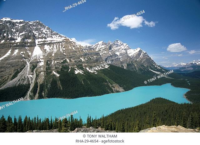 Peyto Lake, coloured by glacial silt, Banff-Jasper National Parks, Canada, North America