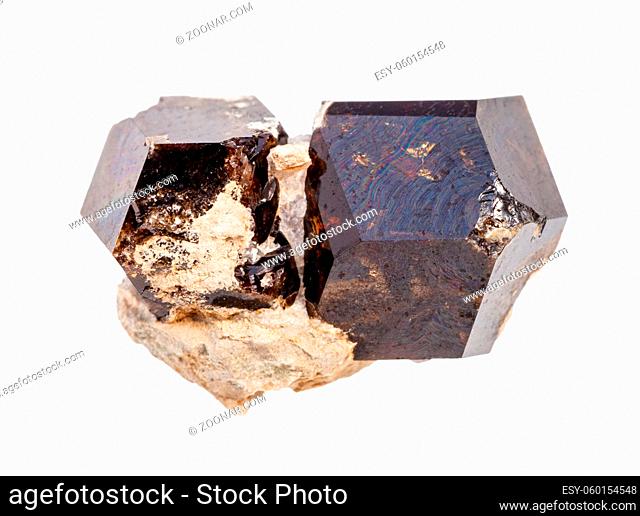 closeup of sample of natural mineral from geological collection - raw Andradite garnet crystals isolated on white background