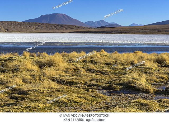 Laguna Canapa, Potosi department, Bolivia