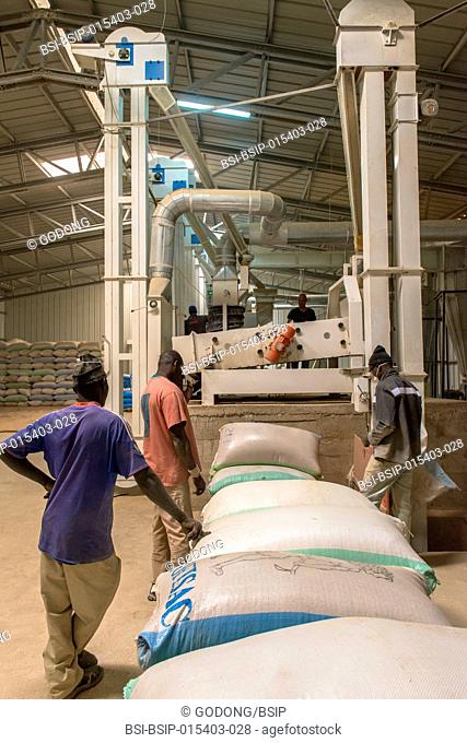 Rice processing and packing factory. Senegal