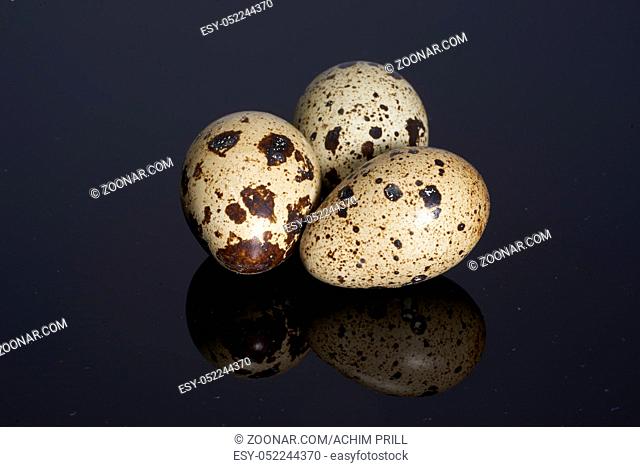 three brown dappled quail eggs on dark reflective back