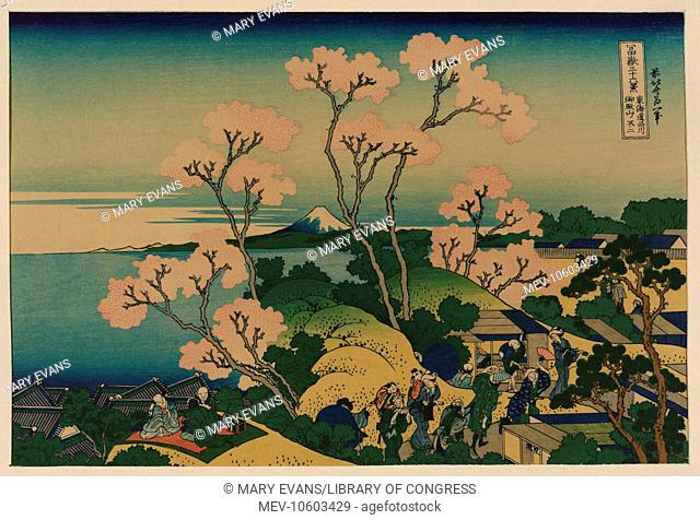 Goten-yama hill, Shinagawa on the Tokaido. Print shows people having a picnic as others stroll along paths through grove of cherry trees at blossom time at the...