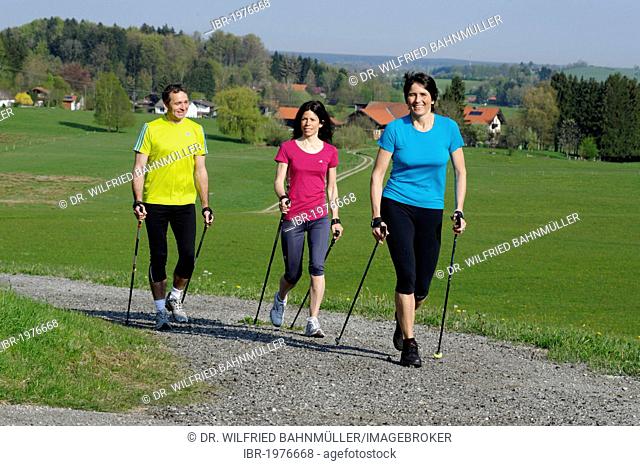 Nordic walking group with coach near Weyarn, Bavarian Oberland, Bavaria, Germany, Europe