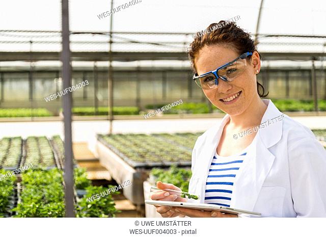 Young female gardener examining plants in nursery