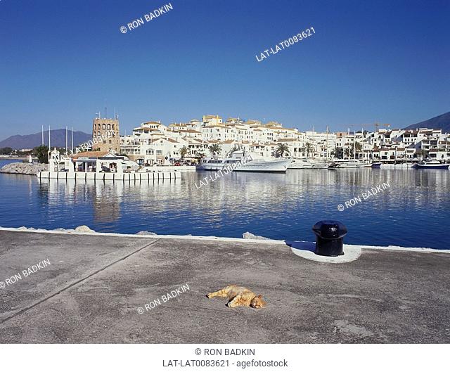Harbour. Town near Marbella. Boats/ yachts moored. Houses/ apartments. Ginger cat lying in sun