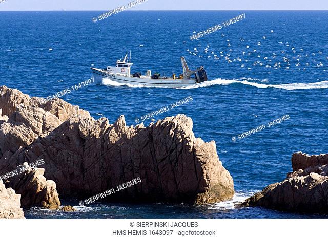 Spain, Catalonia, Costa Brava, Girona Province, La Selva comarca, Seagulls and fishing boat