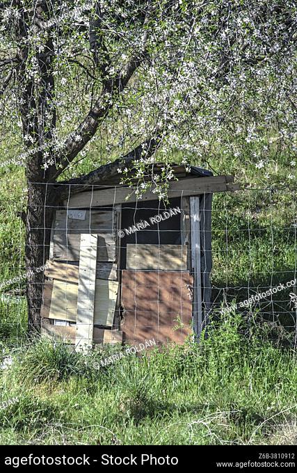 A small poor shed by a fruit tree