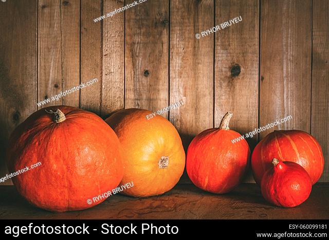 Pumpkins on grunge wooden backdrop, background table. Autumn, halloween, pumpkin copyspace