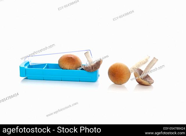 Psychedelic magic mushrooms and pill box isolated on white background. Alternative medicine, natural remedy. Microdosing