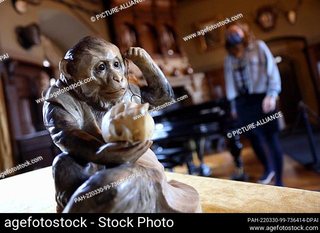 25 March 2022, Saxony-Anhalt, Wernigerode: Objects like this monkey figurine will be the focus of a museum event at Wernigerode Castle on March 27, 2022